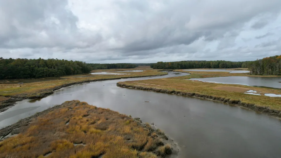 Illustrative river landscape representing groundwater and environmental consulting